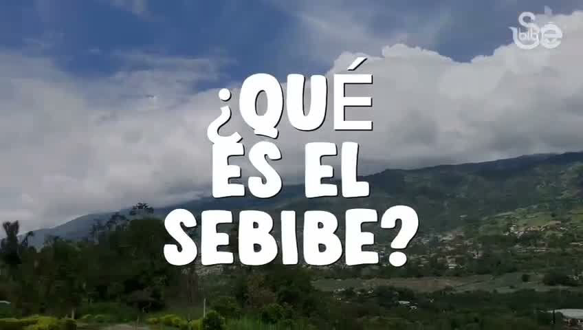 SEBIBE - Formación Teológica y Discipulado